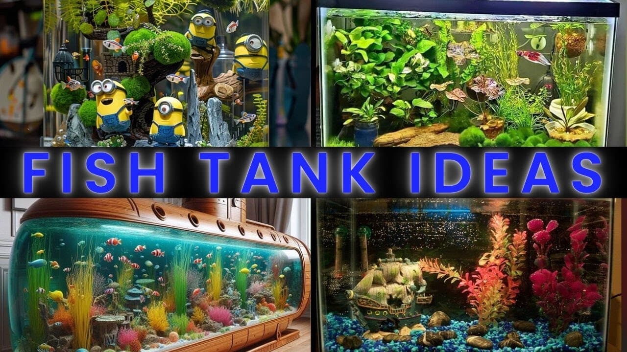 50 Stunning Aquarium Fish Tank Ideas for a Breathtaking Home Display