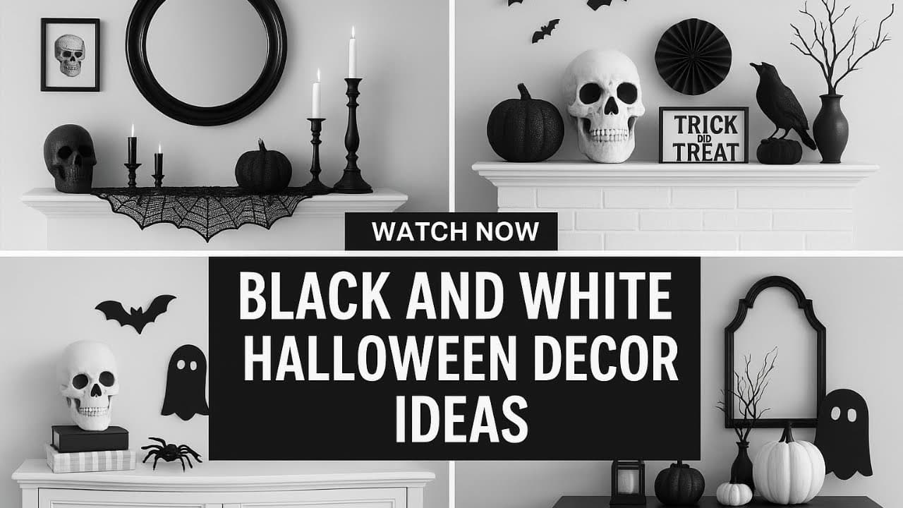 Black and White Halloween Decor Ideas That Feel Genuinely Elegant